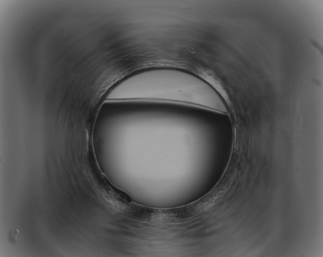 X0000093430109200710120926