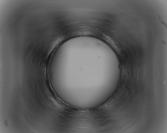 X0000093430110200710120926