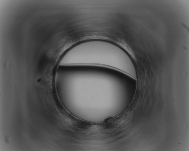 X0000093430111200710120926