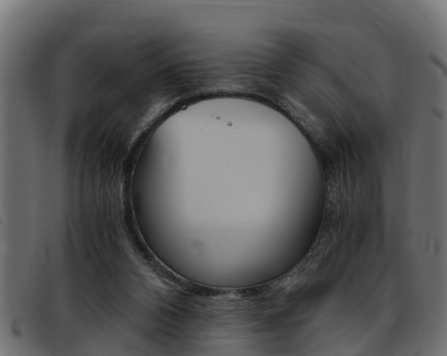 X0000093430112200710120926