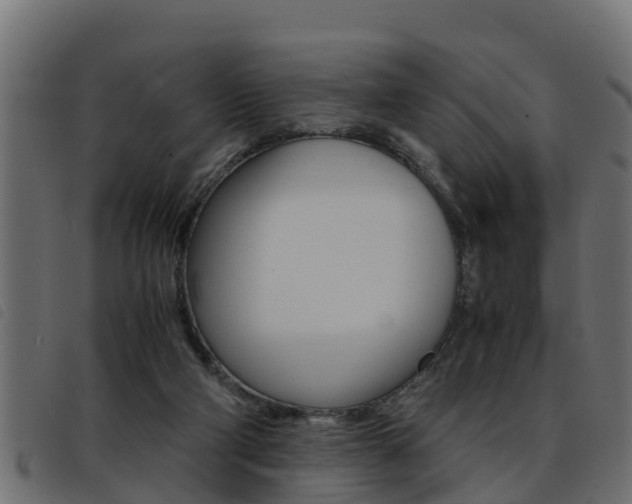 X0000093430114200710120926