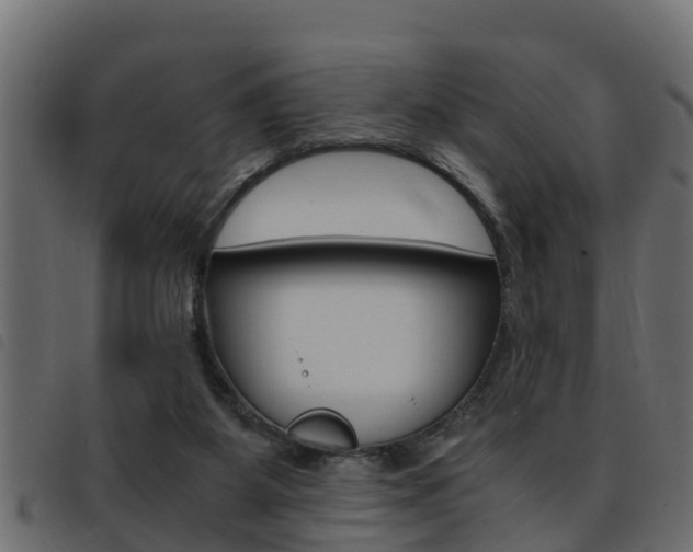 X0000093430115200710120926