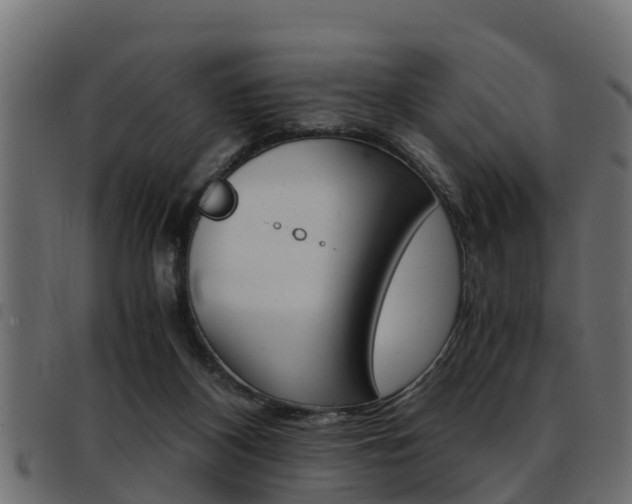 X0000093430116200710120926