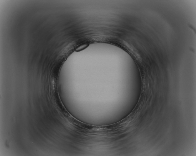 X0000093430117200710120926