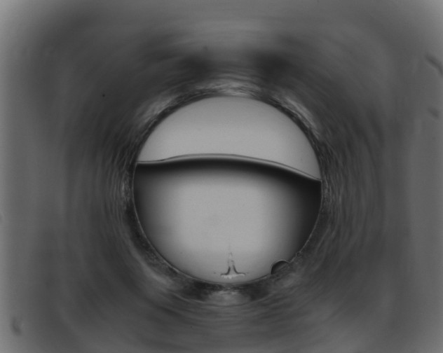 X0000093430119200710120926