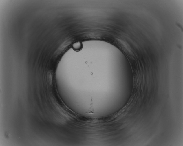 X0000093430120200710120926