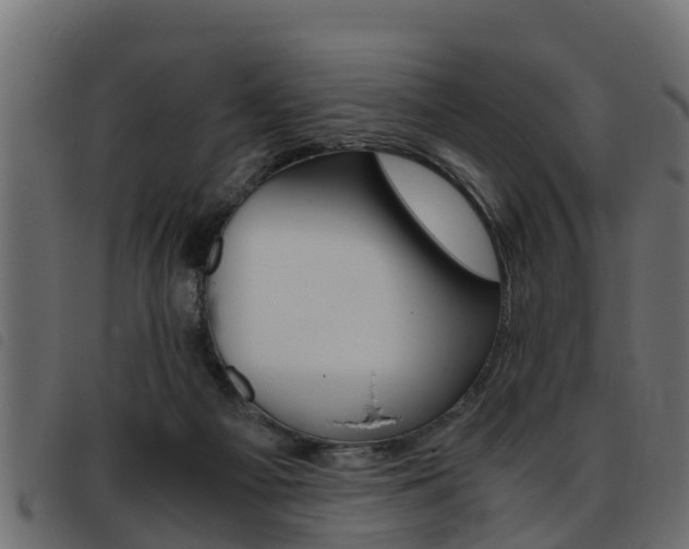 X0000093430121200710120926