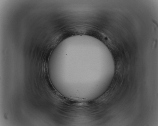 X0000093430122200710120926