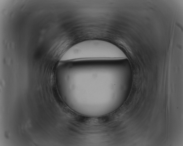 X0000093430123200710120926
