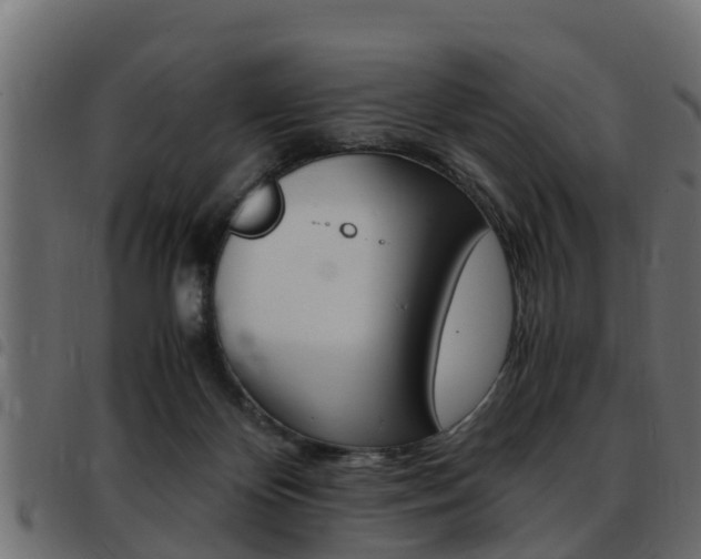 X0000093430124200710120926