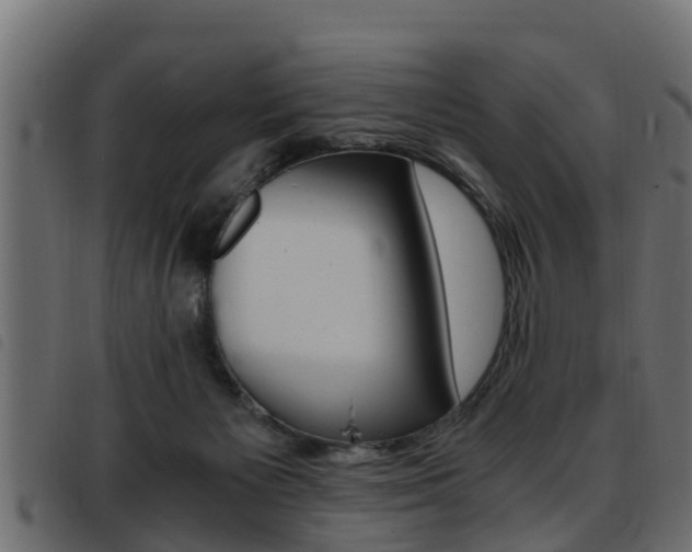 X0000093430125200710120926