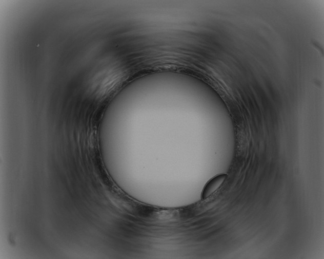 X0000093430126200710120925