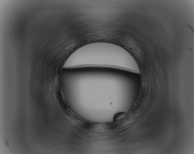 X0000093430127200710120925