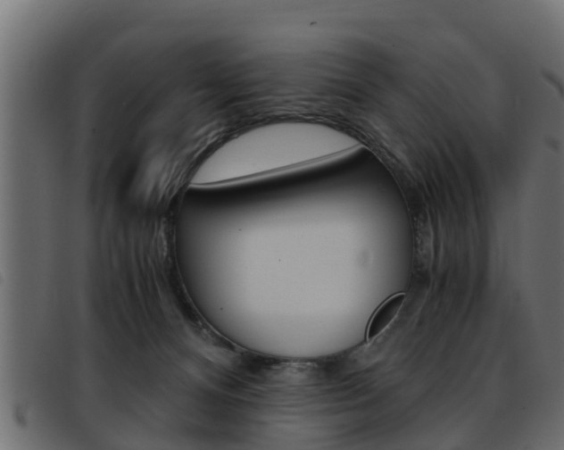 X0000093430128200710120925
