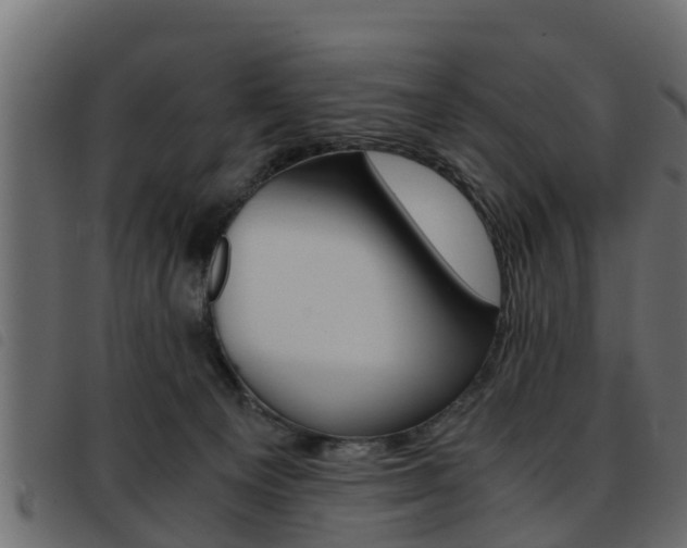 X0000093430129200710120925