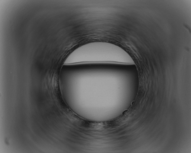X0000093430131200710120925