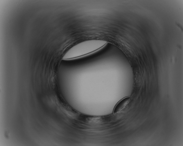 X0000093430132200710120925
