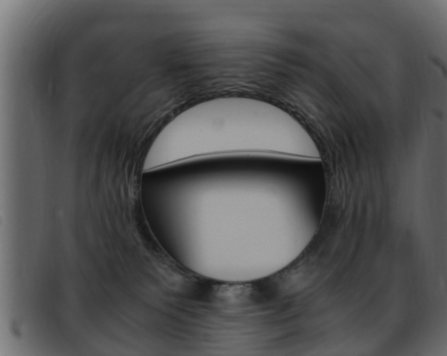 X0000093430135200710120925