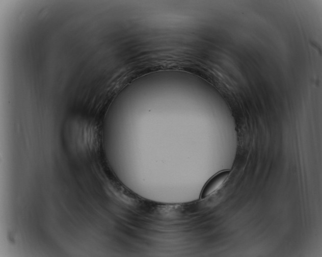 X0000093430136200710120925