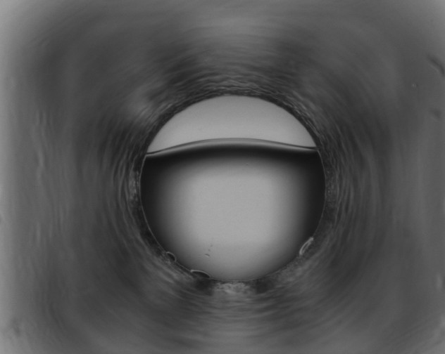 X0000093430137200710120925