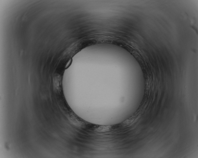 X0000093430138200710120925