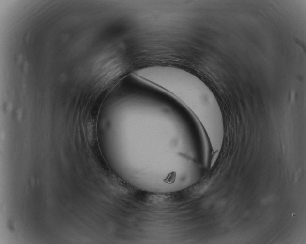 X0000093430139200710120925