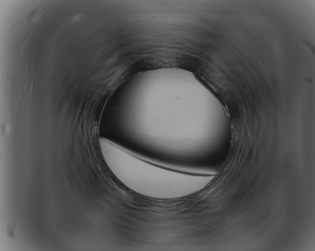 X0000093430141200710120925