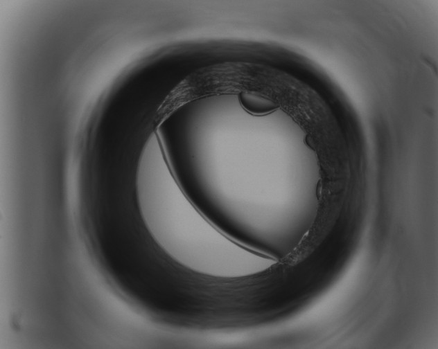 X0000093430143200710120925