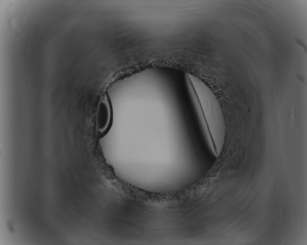 X0000093430144200710120925