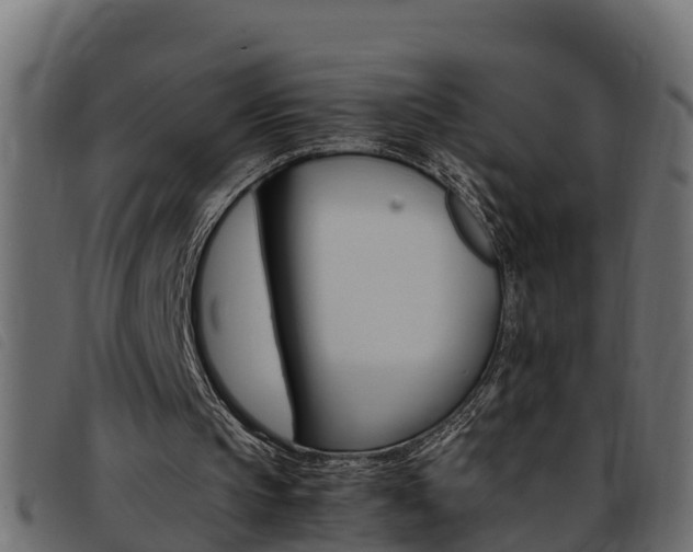 X0000093430145200710120925