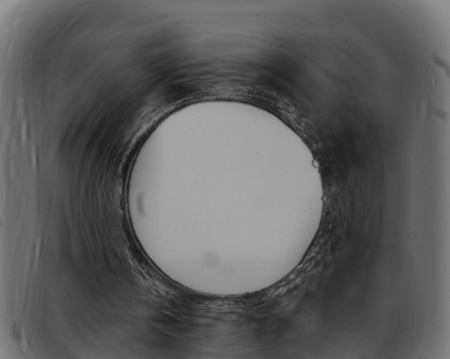 X0000093430146200710120925