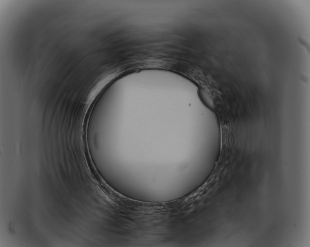 X0000093430147200710120925