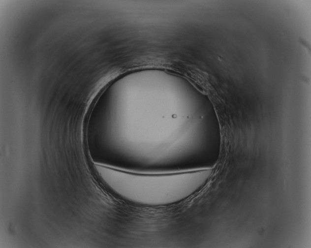 X0000093430148200710120925