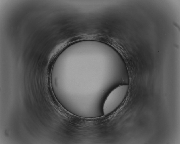 X0000093430149200710120925