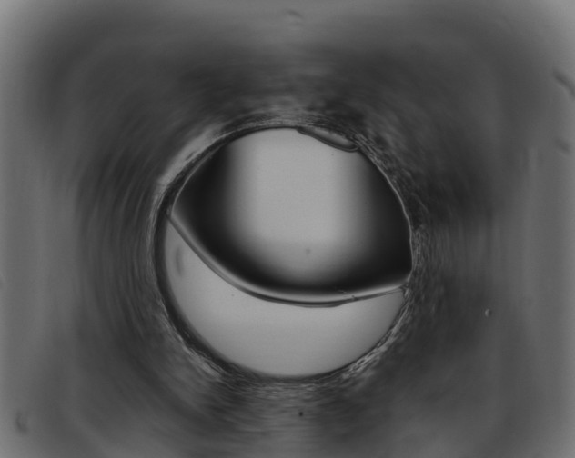 X0000093430150200710120925