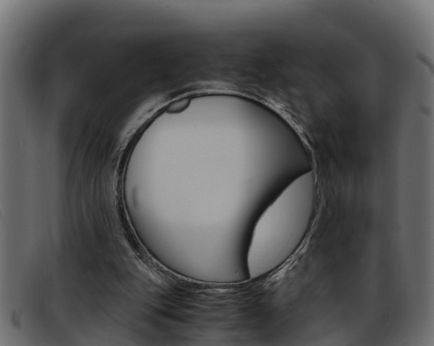 X0000093430151200710120925