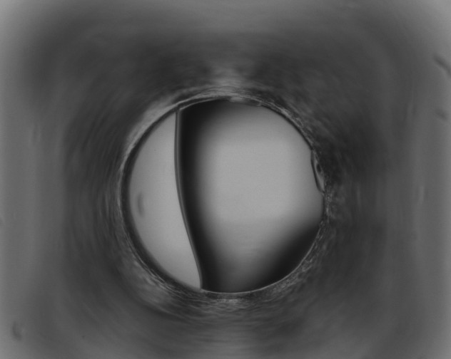 X0000093430152200710120925