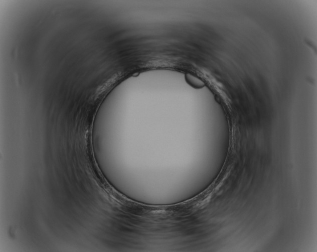X0000093430153200710120925
