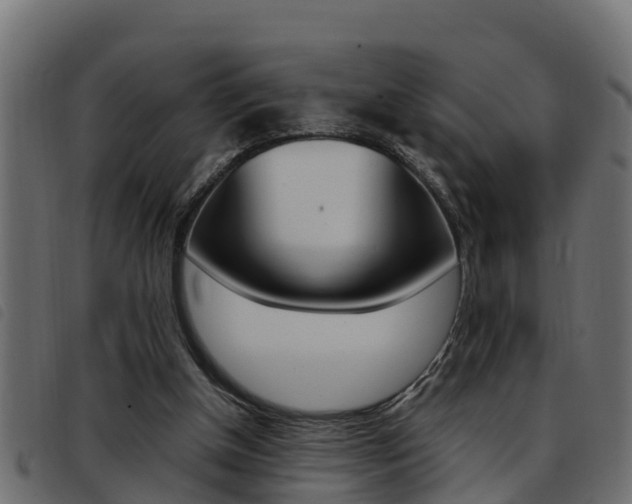 X0000093430154200710120925
