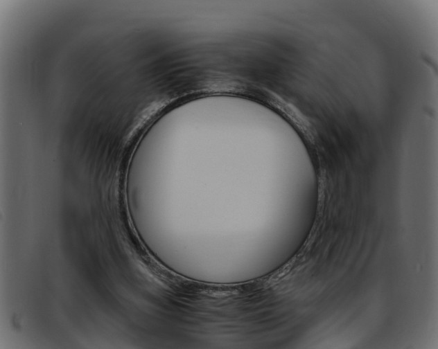 X0000093430155200710120925