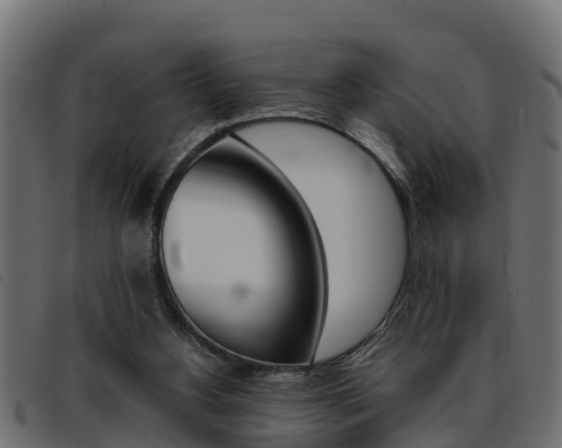X0000093430156200710120925