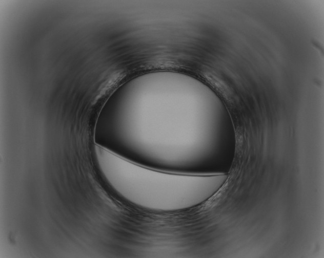 X0000093430158200710120925