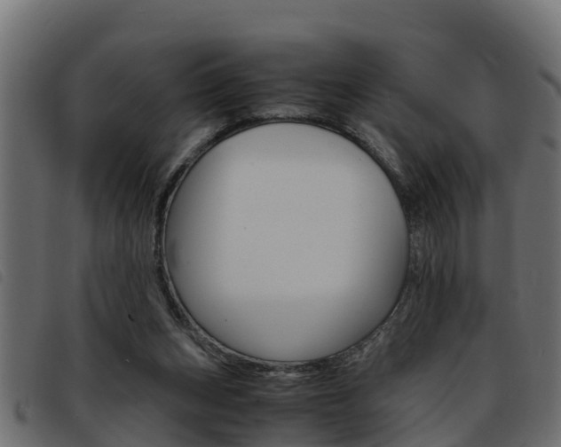 X0000093430159200710120925