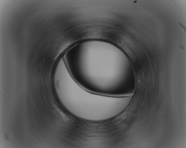 X0000093430160200710120925