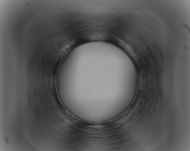 X0000093430161200710120925