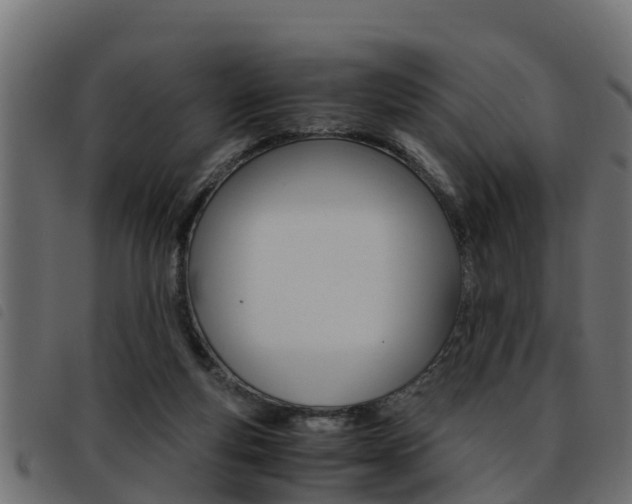 X0000093430163200710120925