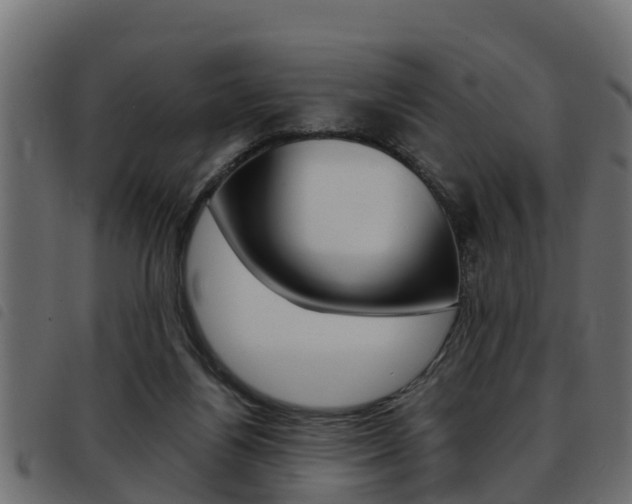 X0000093430164200710120925