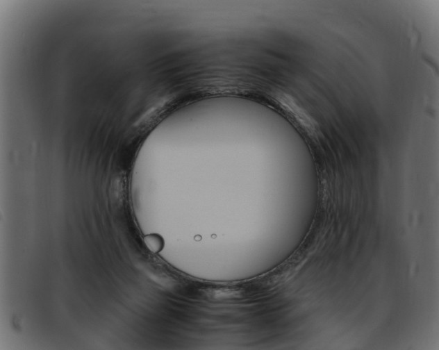 X0000093430165200710120925
