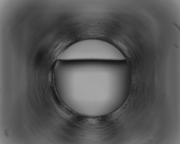 X0000093430166200710120925