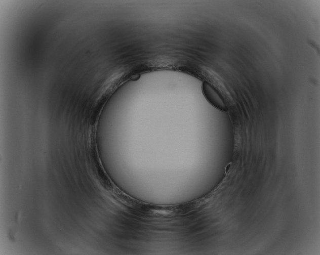 X0000093430167200710120925